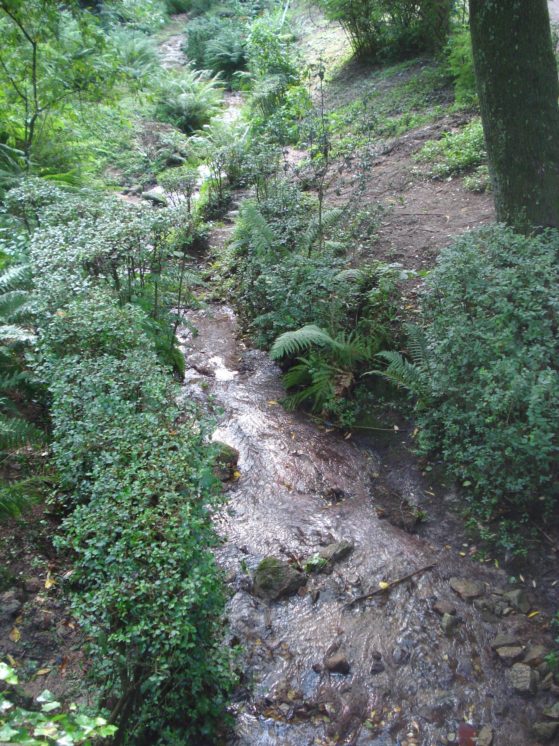 fotos/2011 - Los Reartes/DSC00476.JPG